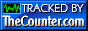 Visitor Counter